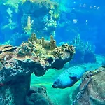 아파트 Les Etoiles Di San Lorenzo In Centro Near Acquario *
